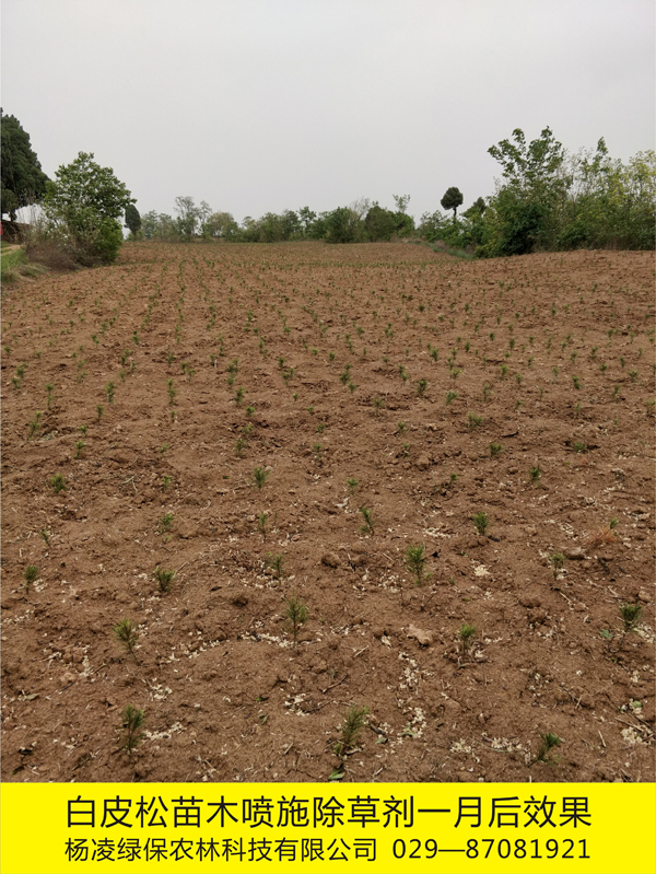 ��Ƥ����ľ���ػ��W(xu��)����2